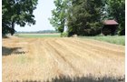 Property photo 6 - AUCTION POSTPONED